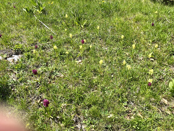 23-05-26 14-11-20 5708